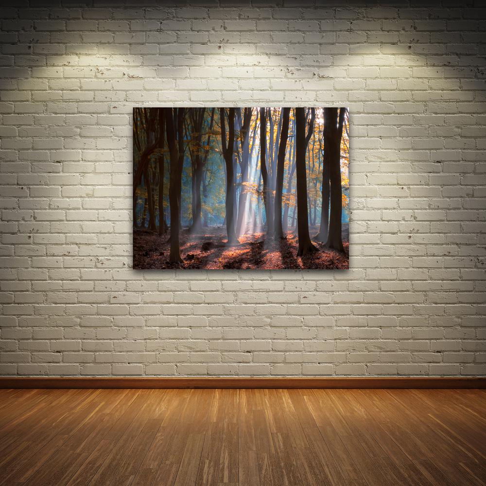 11++ Finest Photography wall art images information