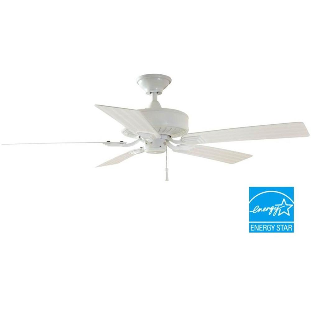 Model Ceiling Fan