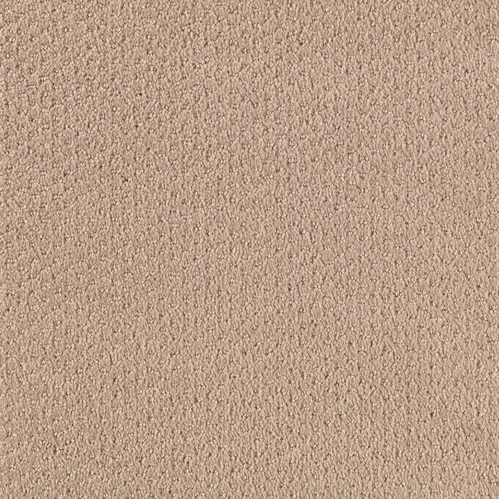 Shoot Out Color Brushed Suede Pattern 12 Ft Carpet