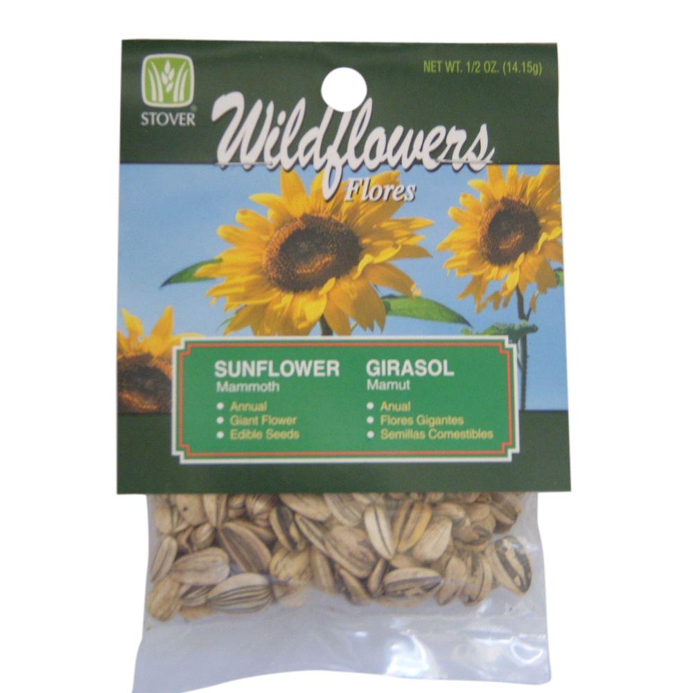 Stover Seed Mammoth Sunflower Seed780406 The Home Depot