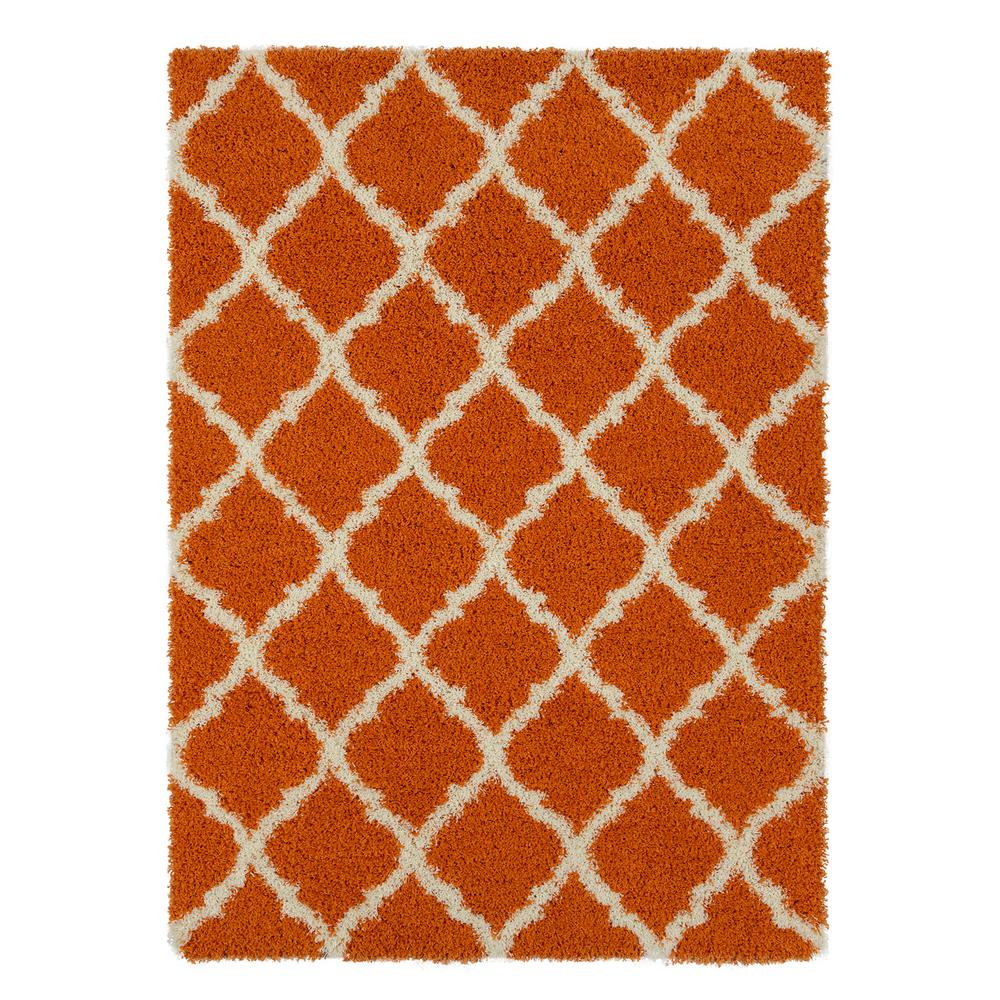 Orange 5 X 7 Area Rugs Rugs The Home Depot