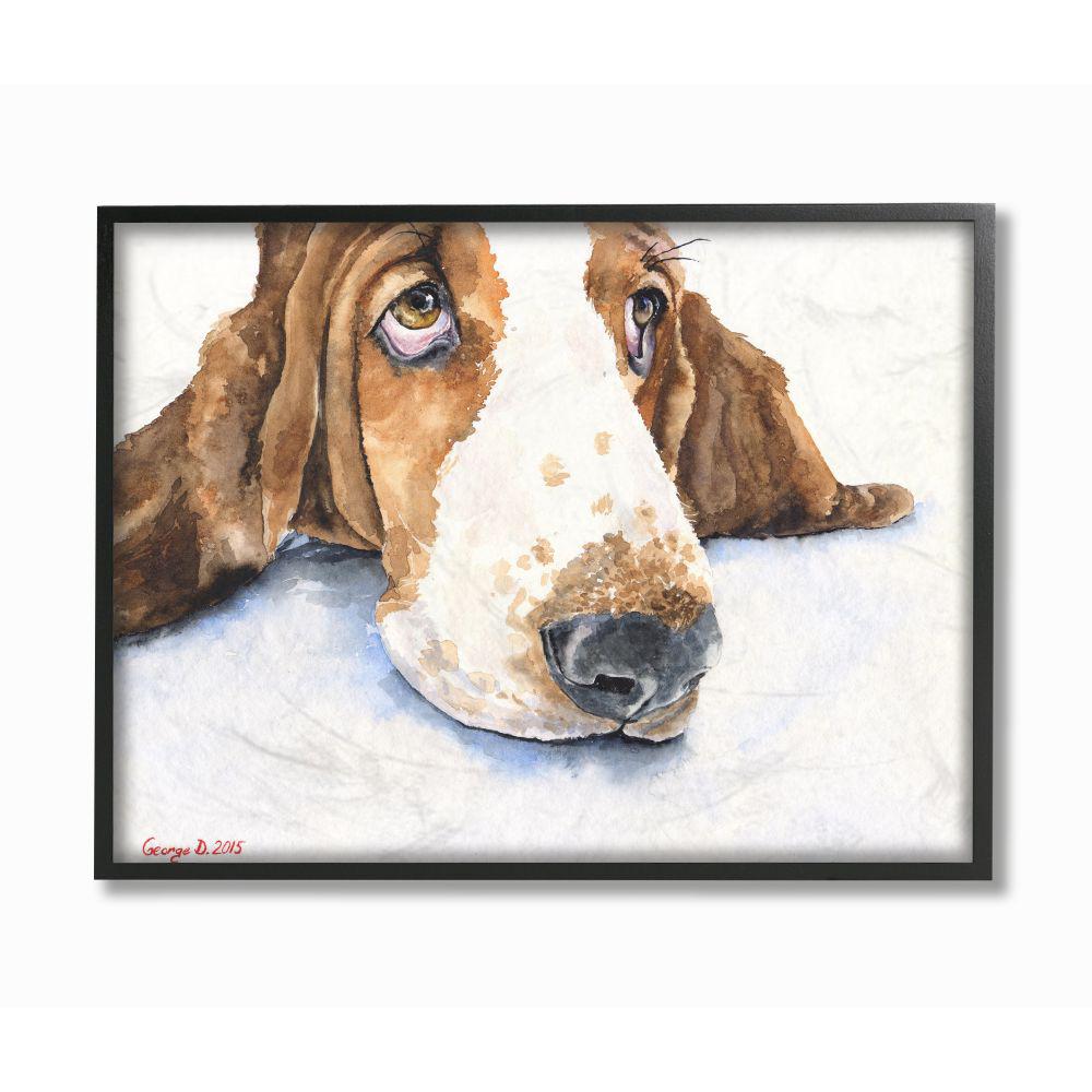 basset hound cute