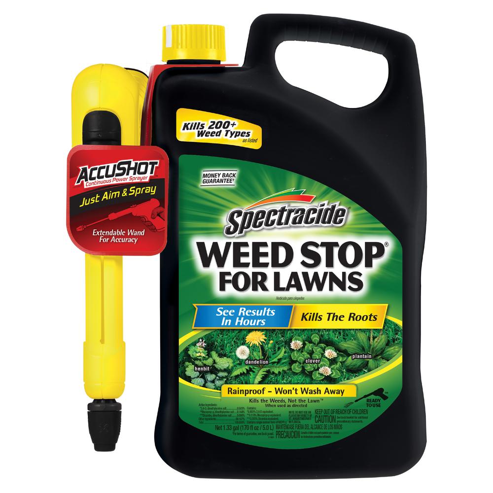 Prostrate Spurge Lawn Weed Killer Weed Killer The Home Depot 3489