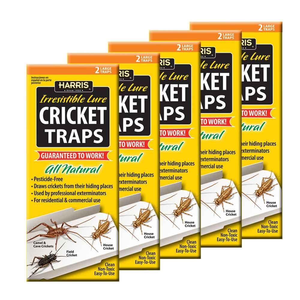 Harris Cricket Trap Value Pack by Harris
