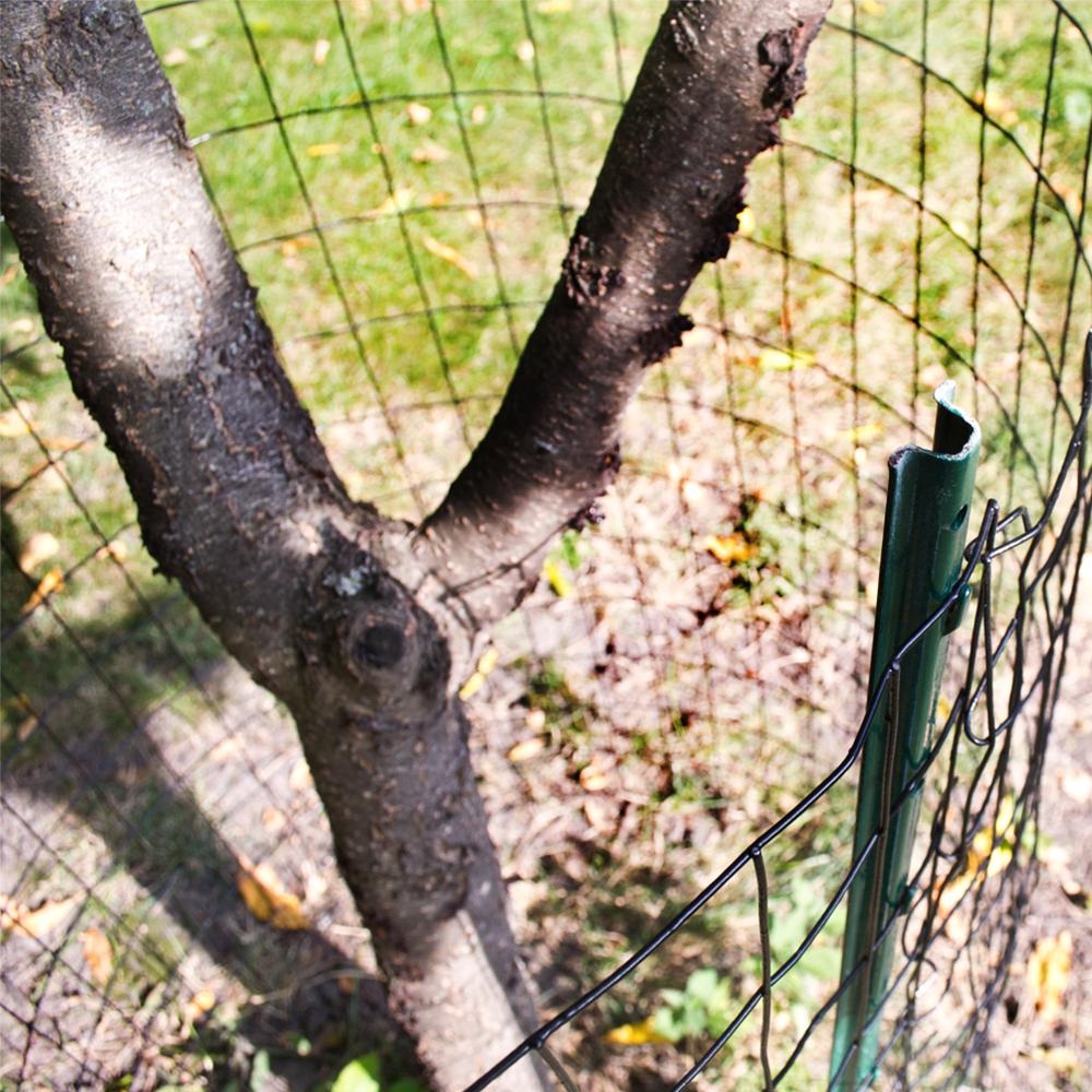 3 wire fence