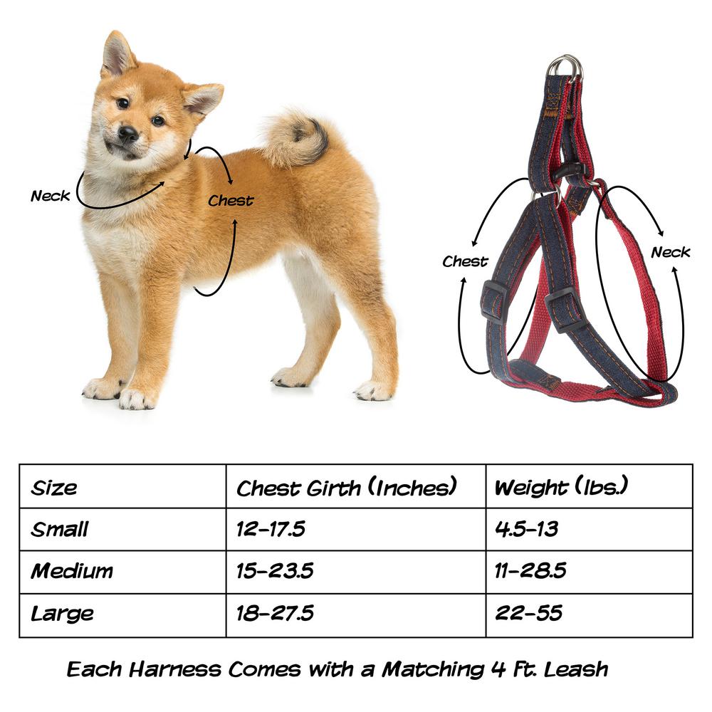 pet dog leash