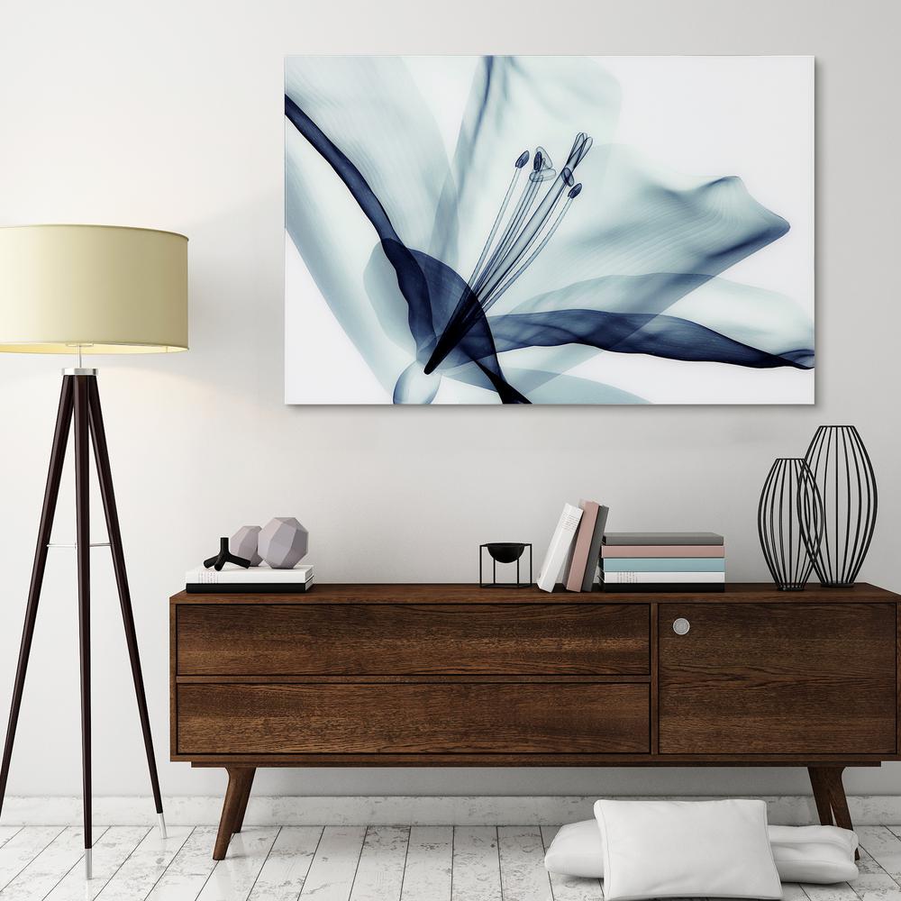 Unbranded 32 in. x 48 in. "Amaryllis" Frameless Free Floating Tempered