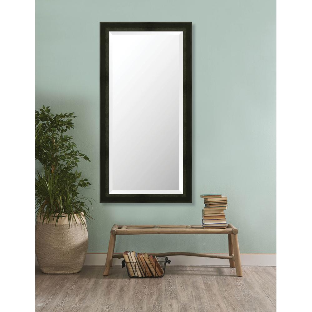 LarsonJuhl Camden 24.625 in. x 48.625 in. Modern Framed Bevel Mirror655254204B The Home Depot