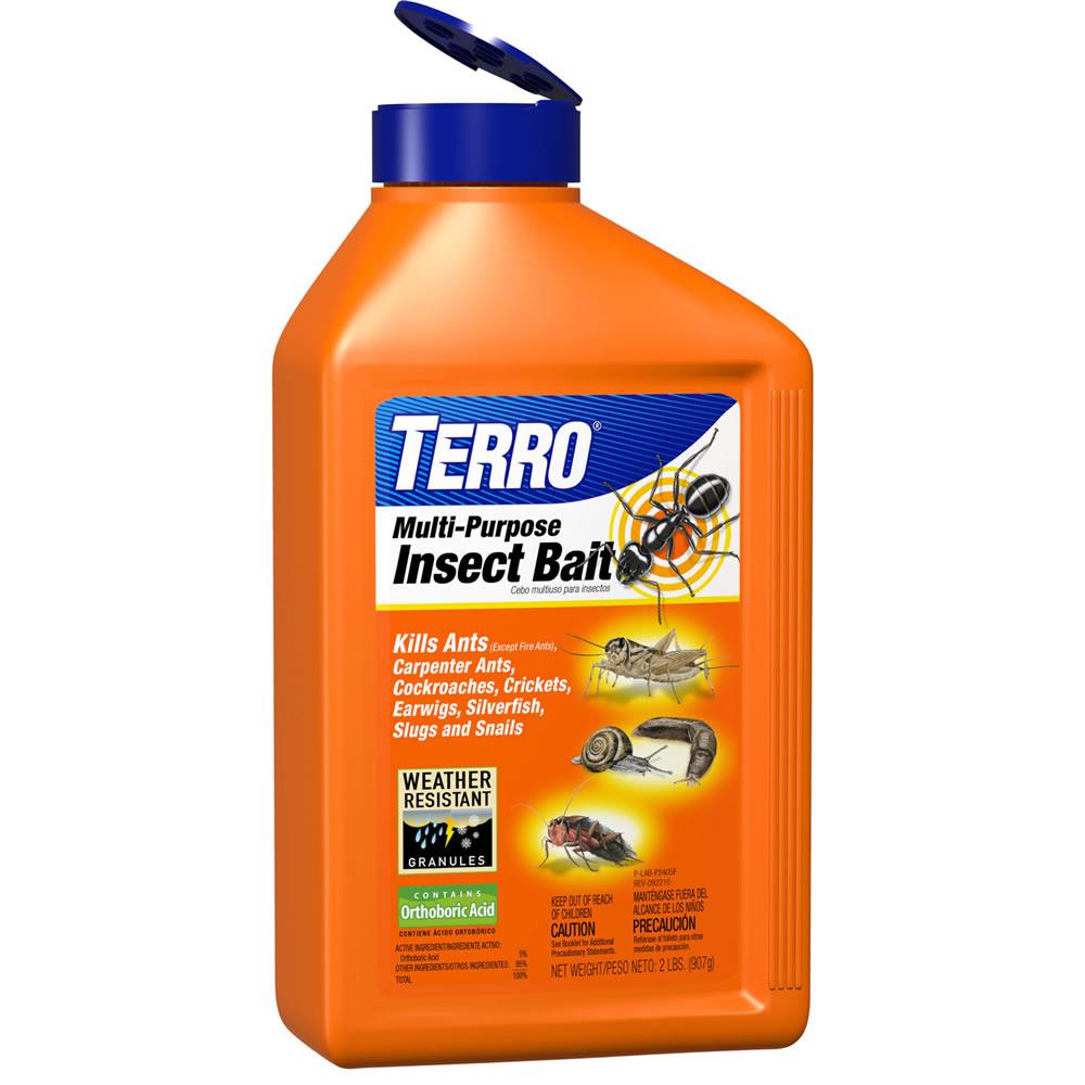 Terro MultiPurpose Insect BaitT2401 The Home Depot