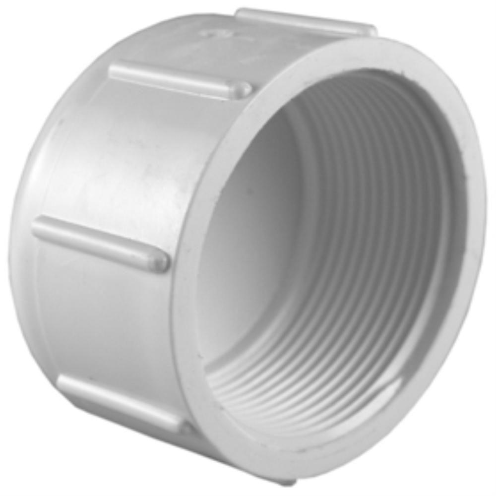 Single Unit Charlotte Pipe 4 DWV Coupling ABS DWV Schedule 40 Drain, Waste and Vent
