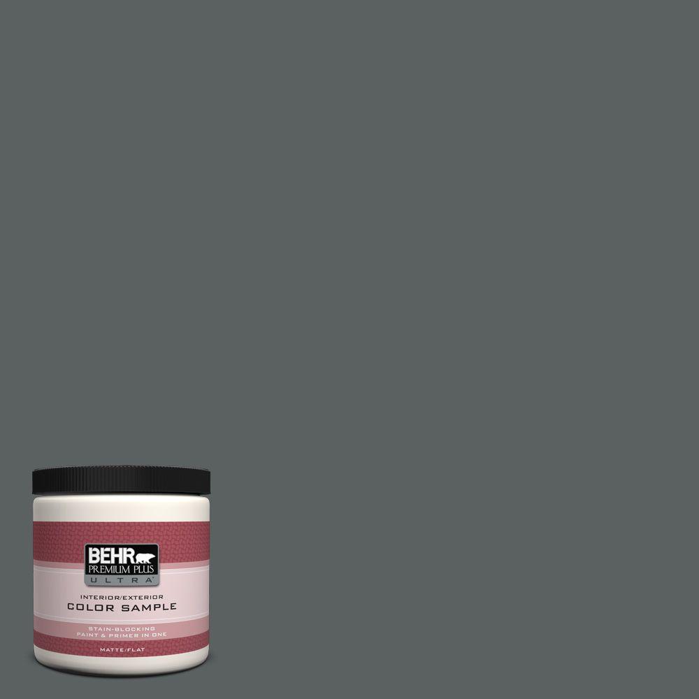 Behr Premium Plus Ultra 8 Oz 720f 6 Paramount Matte Interior 8 Oz 720f 6 Paramount Matte Interior Exterior Paint And Primer In One Sample