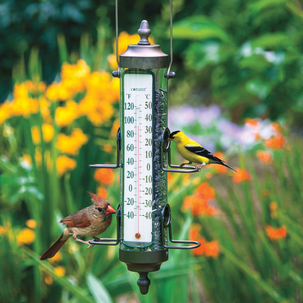 Audobon Workshop 17 50 In Tall Birdfeeder And Thermometer 1892