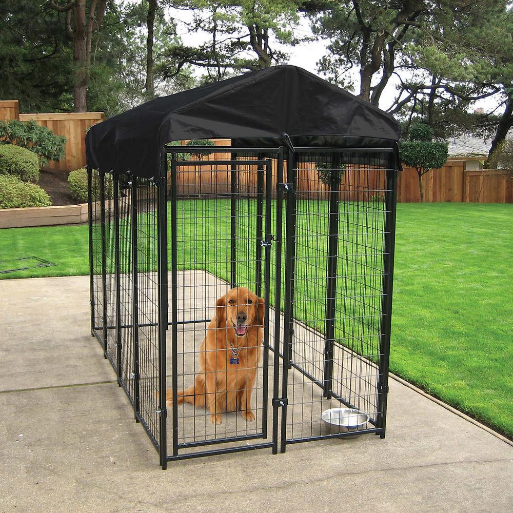 kennel prices near me