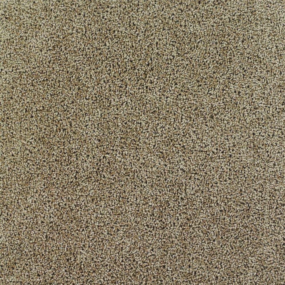 TrafficMASTER Thoroughbred II - Color Chestnut Texture 12 ft. Carpet