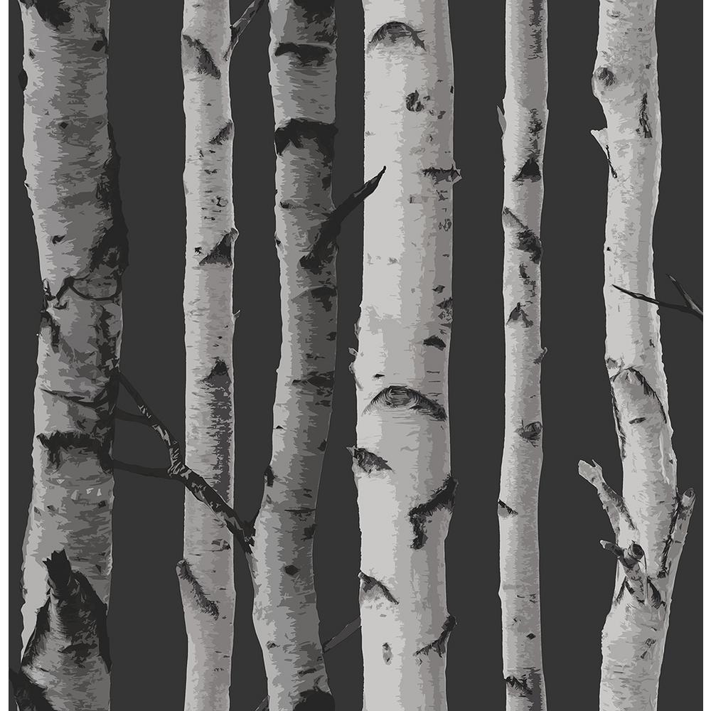 Nuwallpaper Multi Color Birch Tree Wallpaper Nu1650 The Home Depot