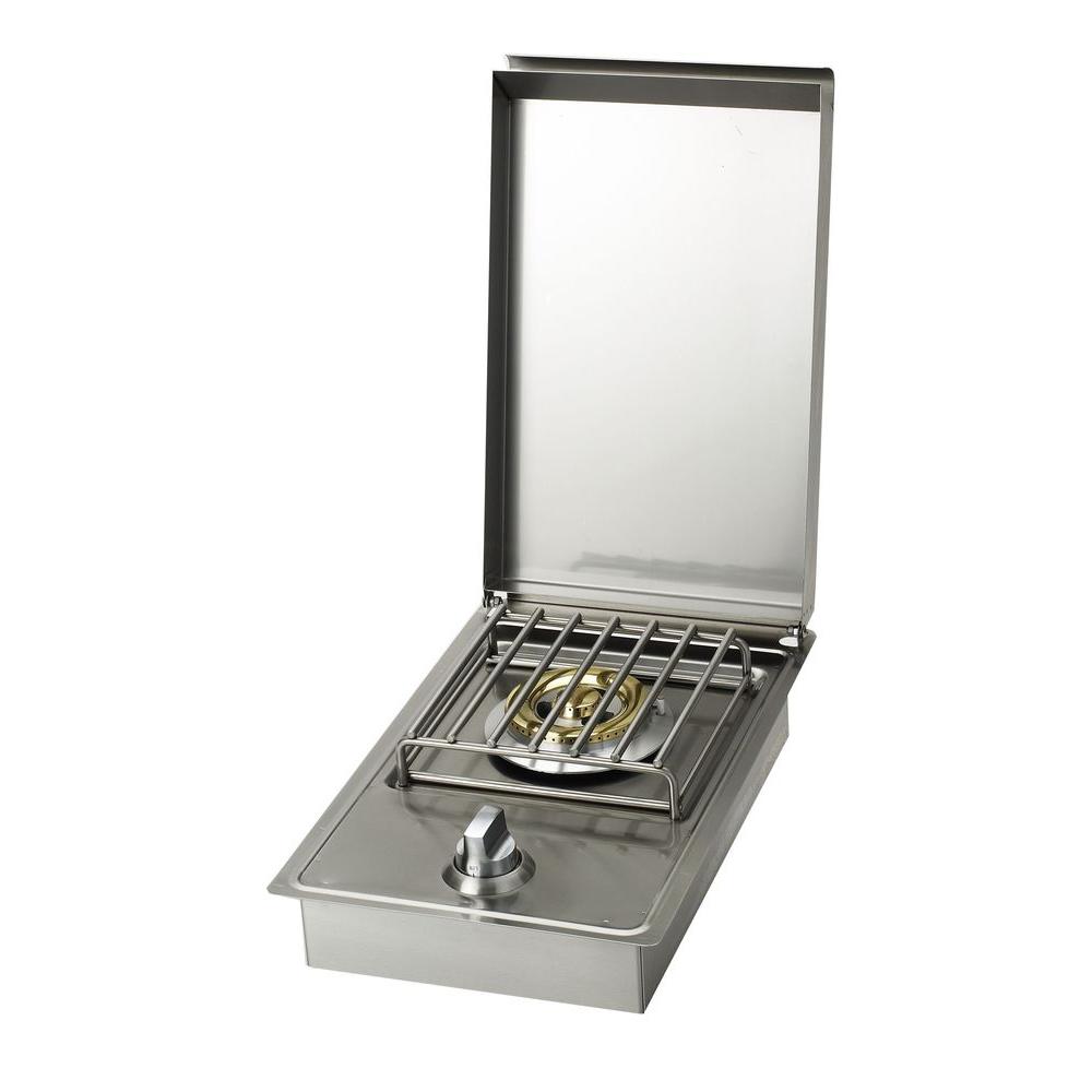 Capital Precision 2-Burner Stainless Steel Built-In ...