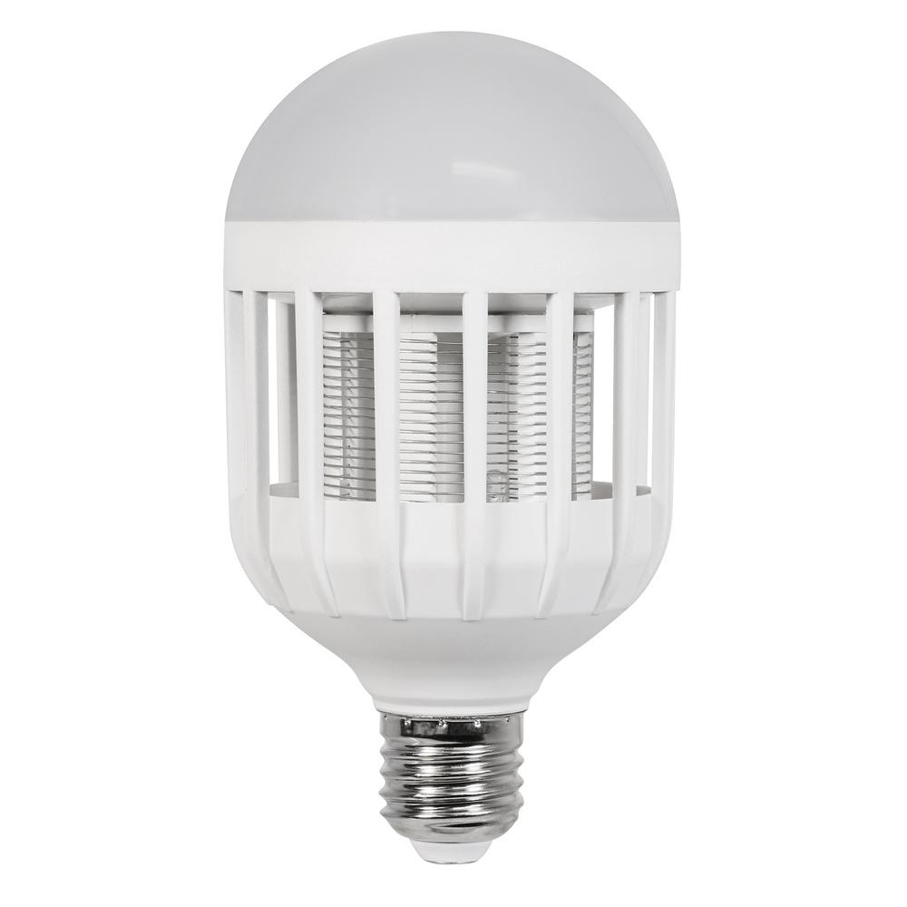 LED - Bug Light Bulbs - Light Bulbs - The Home Depot