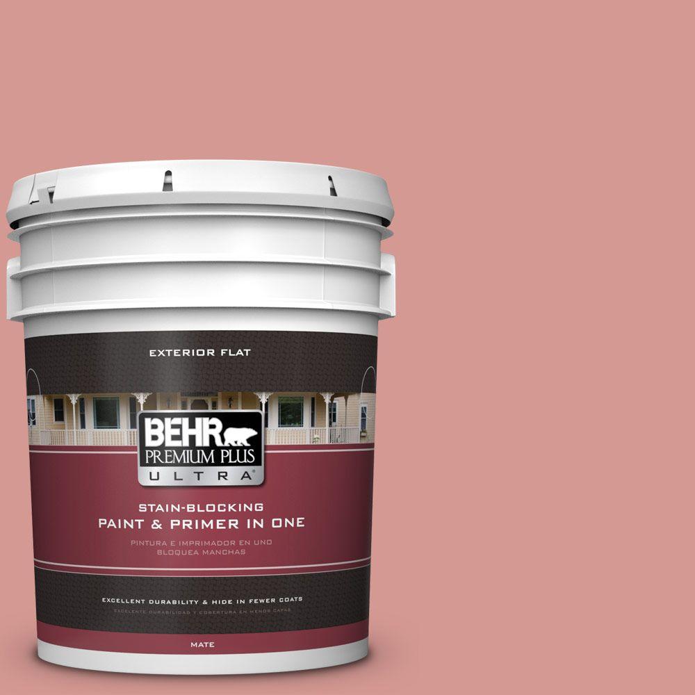 36 Sample Behr premium plus ultra exterior flat with Sample Images