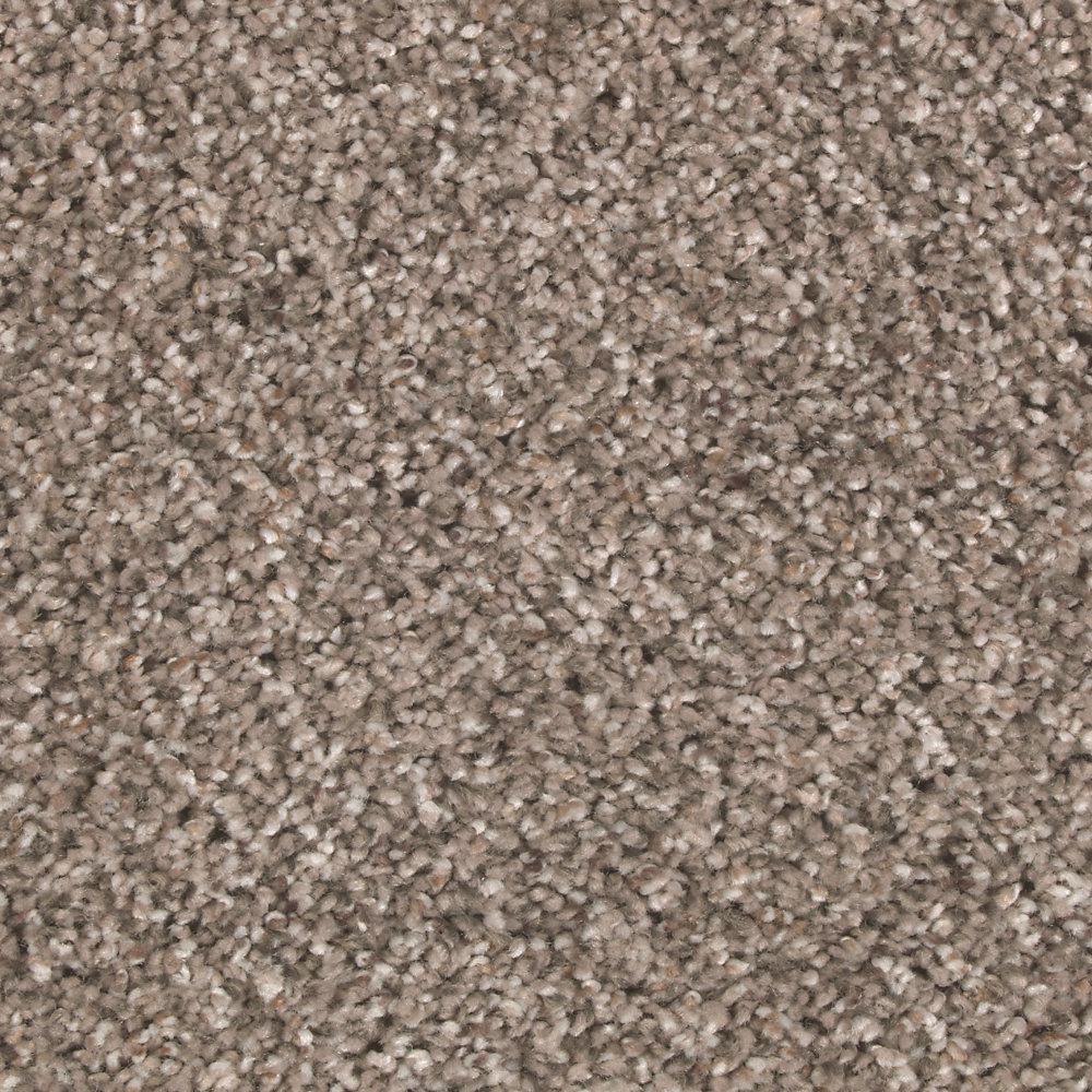 Petproof Carpet Flooring The Home Depot