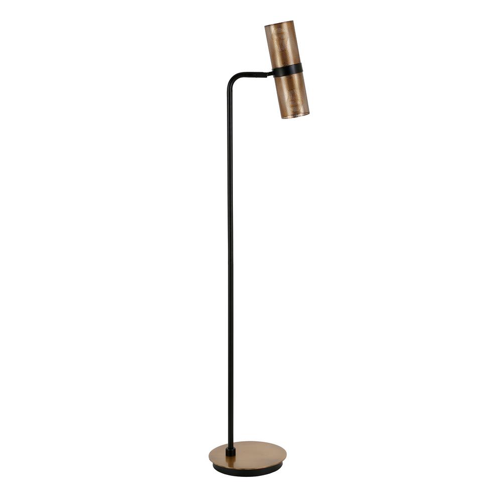 Hudson&Canal Zevon 62 in. Matte Black and Brass Floor LampFL0162 The
