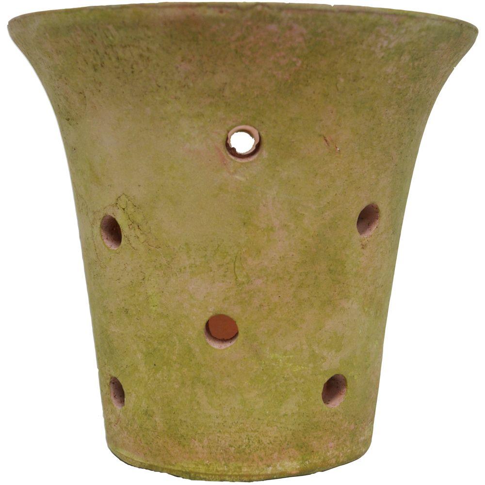 BetterGro 6 in. Rustic MossFinish Clay Orchid Pot54015 The Home Depot