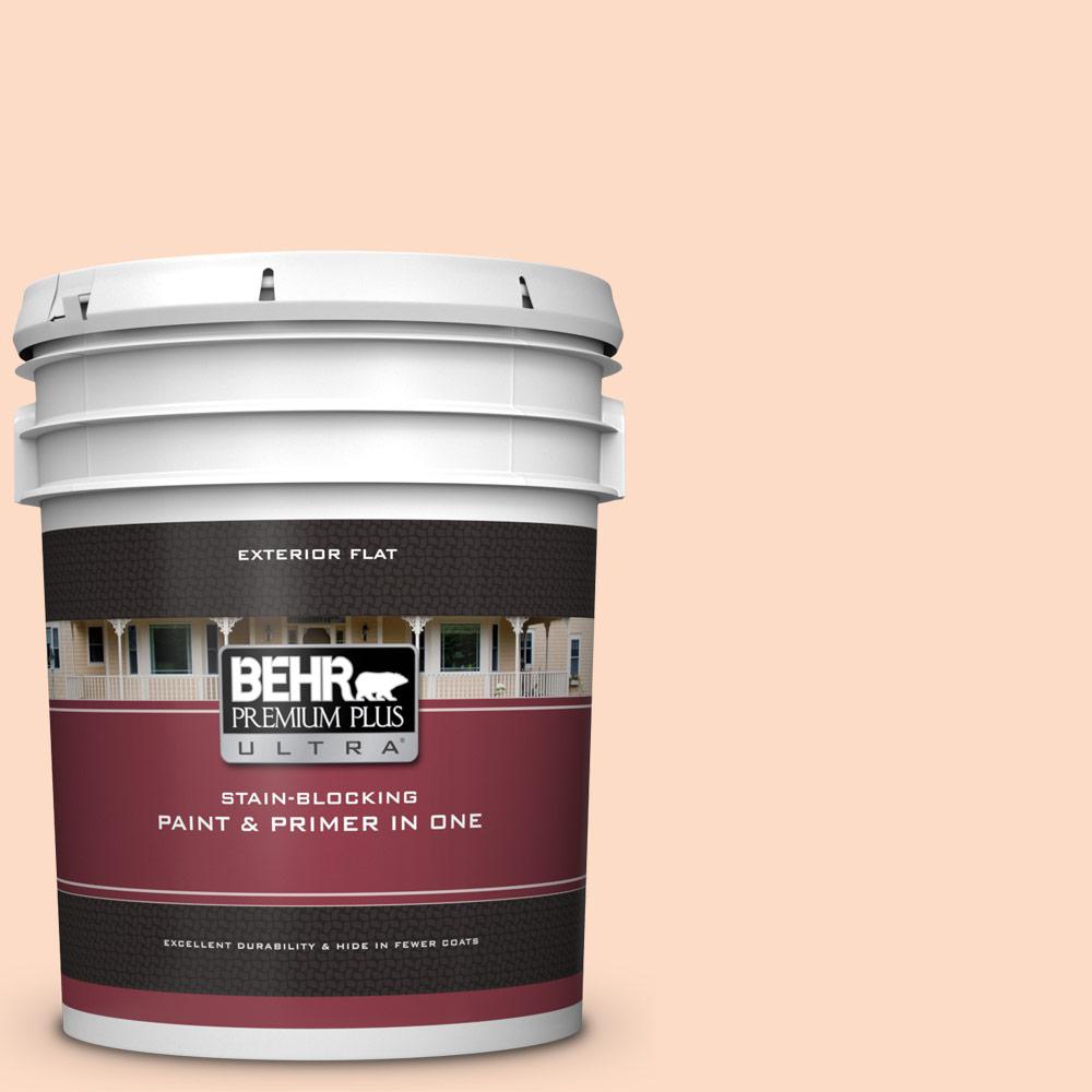 BEHR Premium Plus 5 gal. 790F4 Creek Bend Flat Exterior Paint and