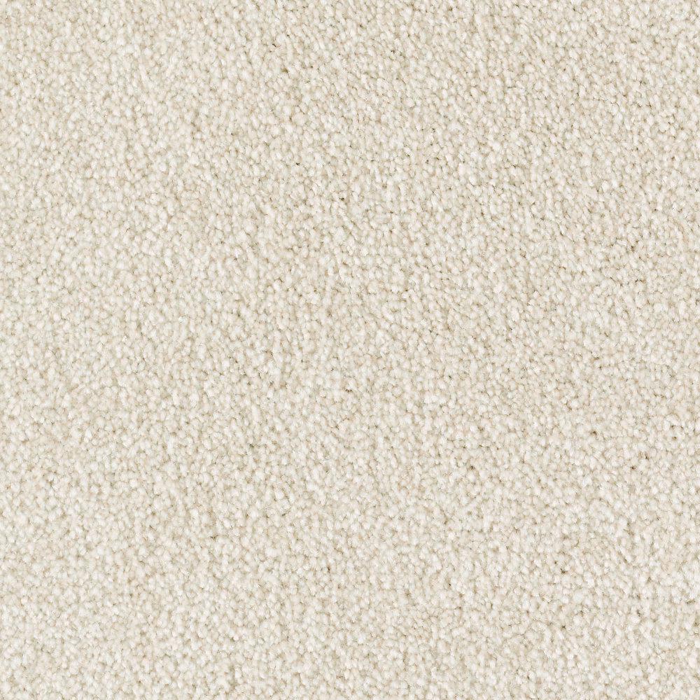 LifeProof Phenomenal I Color Bamboo Texture 12 ft. Carpet0682D3012