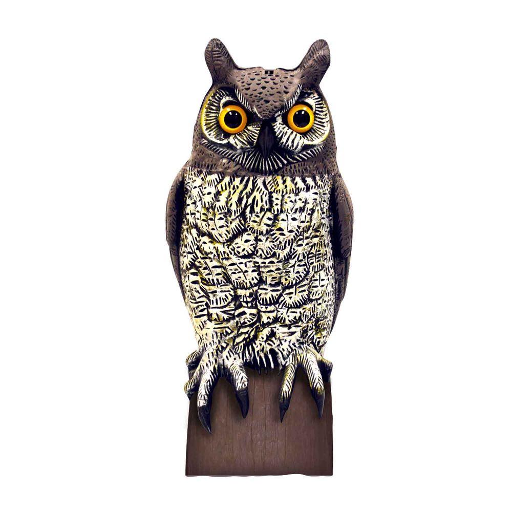 Aspectek VisualScare Molded Owl Scarecrow Bird RepellentHR492 The