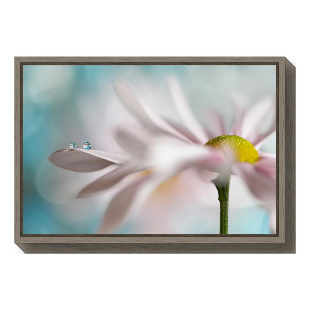 Amanti Art Tiny Duo By Heidi Westum Framed Canvas Wall Amanti Art Tiny Duo By Heidi Westum Framed Canvas