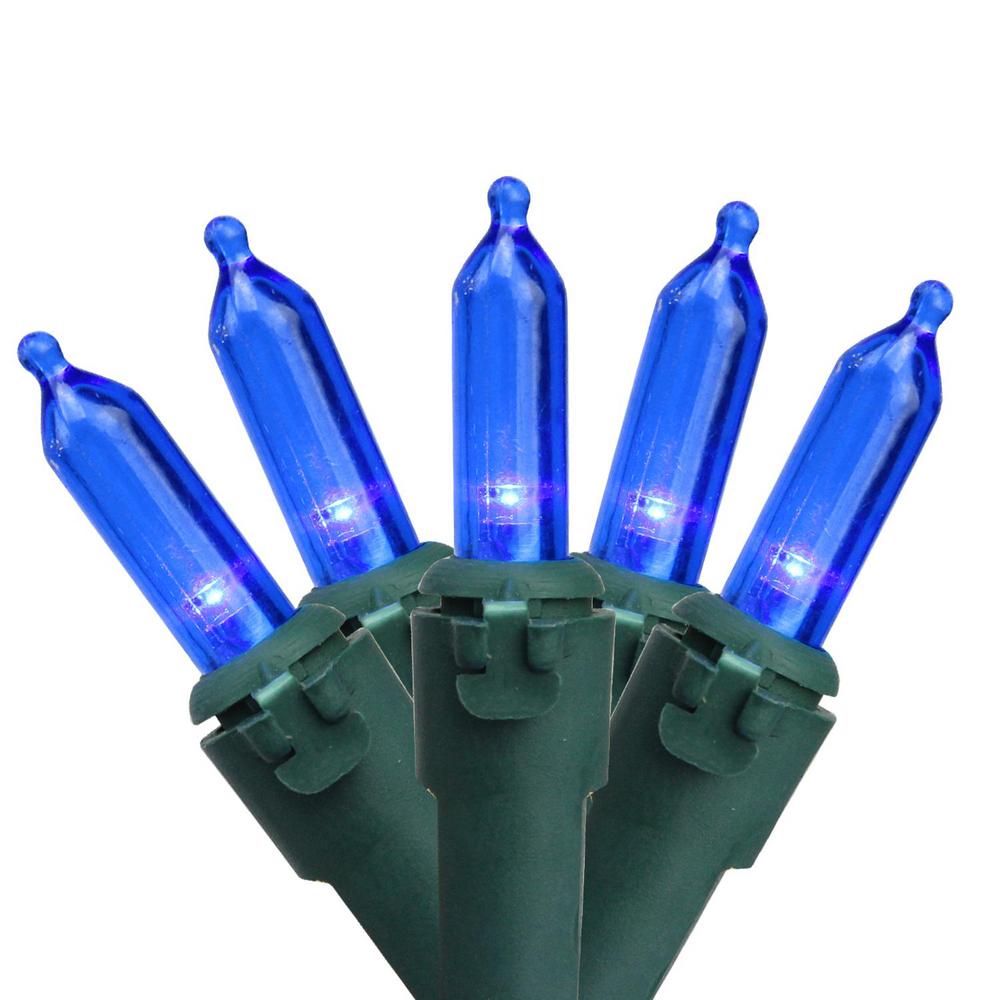 Northlight Set of 50 Blue LED Mini Christmas Lights with Green Wire32605404 The Home Depot