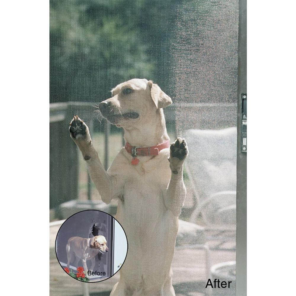 Phifer 3004128 48X100 BLK PET Screen Hardware ...