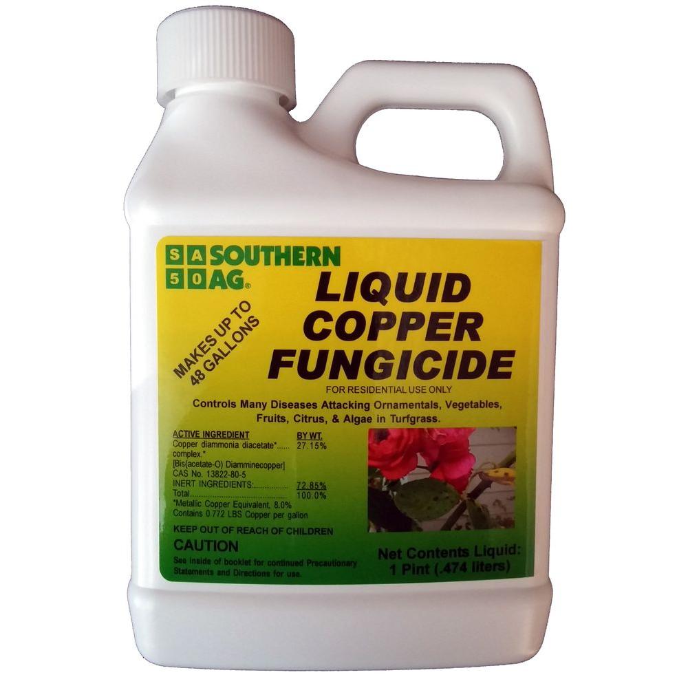 liquid copper fungicide use on pine needle blight