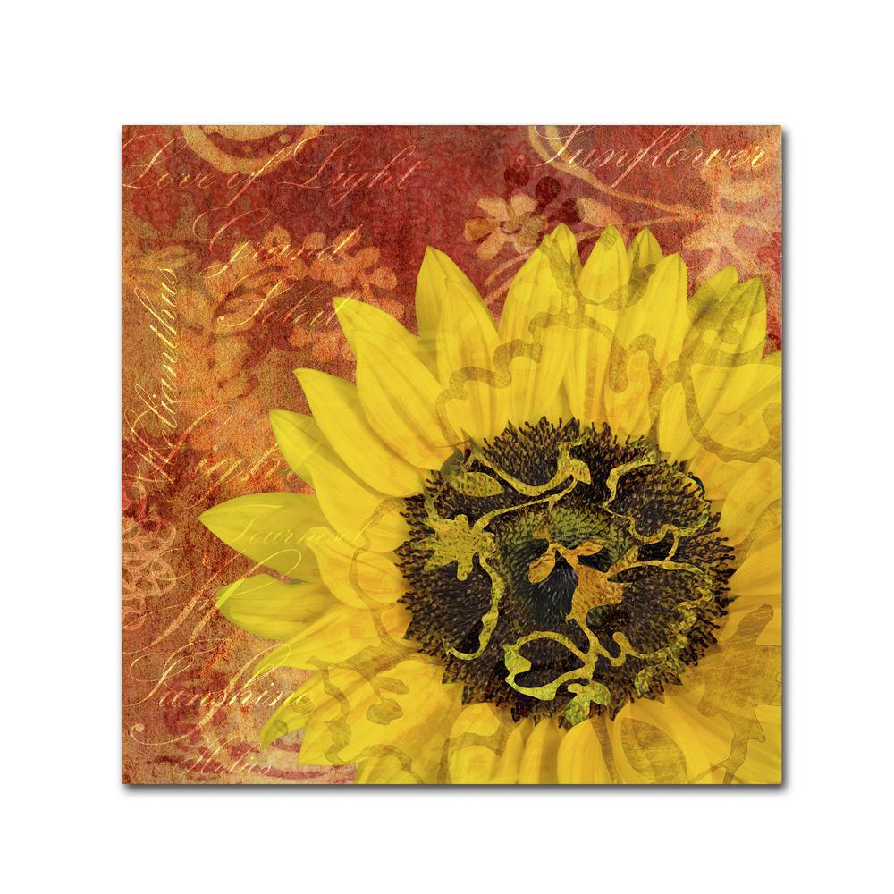 Trademark Fine Art 24 In X 24 In Sunflower Love Of Light By Cora Niele Printed Canvas Wall Art Ali1806 C2424gg The Home Depot