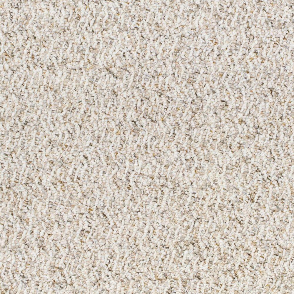 berber-carpet-indoor-carpet-the-home-depot