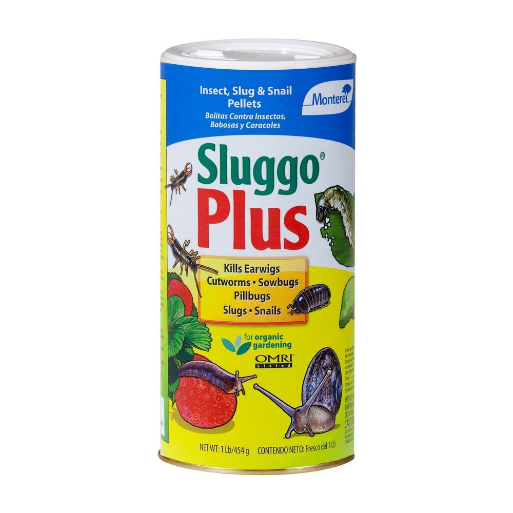 sluggo lb plus monterey ivy boston