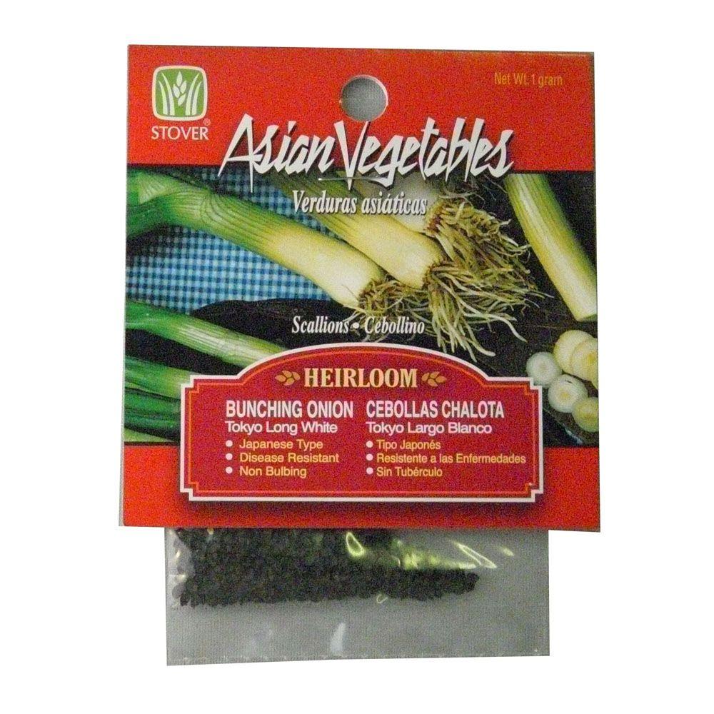 Asian Onion, Bunching (Scallion) Tokyo Long White Seed780526 The