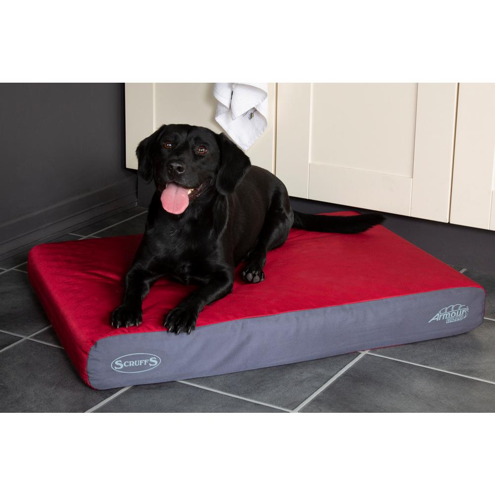 covered dog bed medium