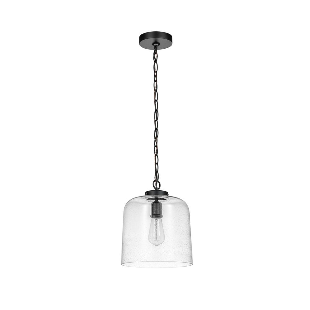 Globe Electric Murphy 1Light Black Outdoor Pendant Light with Clear