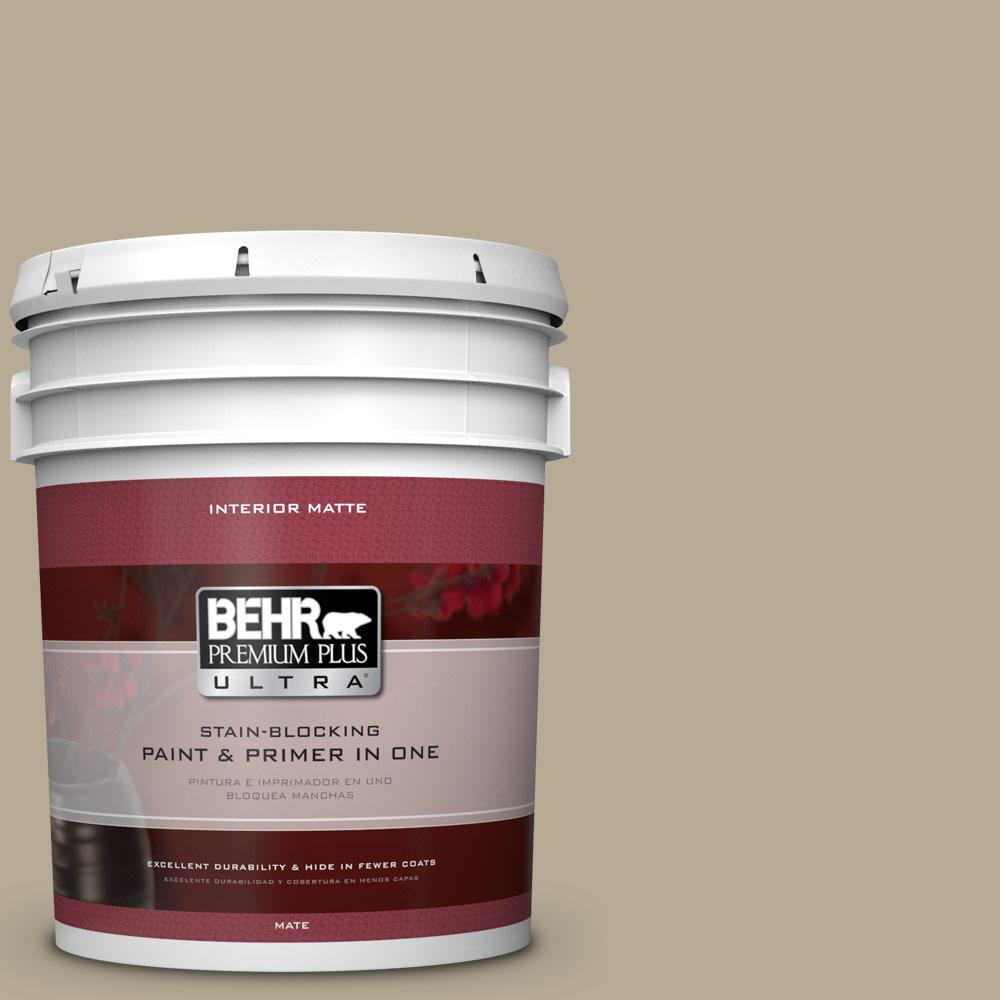 5 Gallon Paint The Home Depot