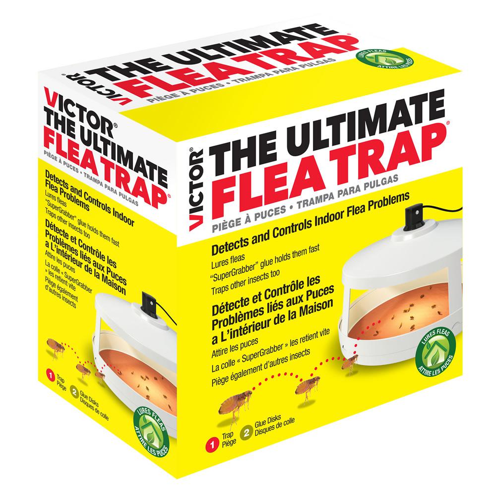 Victor Ultimate Flea Trap-M230A - The Home Depot
