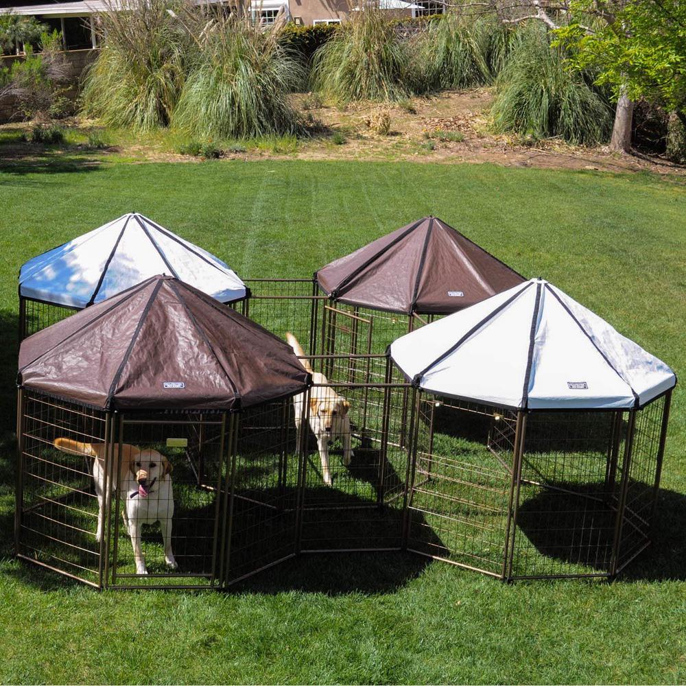 dog outdoor tent
