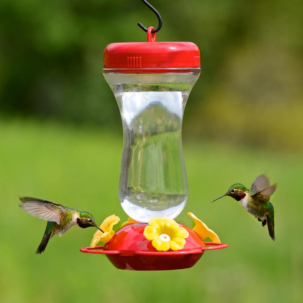 Perky Pet Petunia Top Fill Glass Hummingbird Feeder 16 Oz