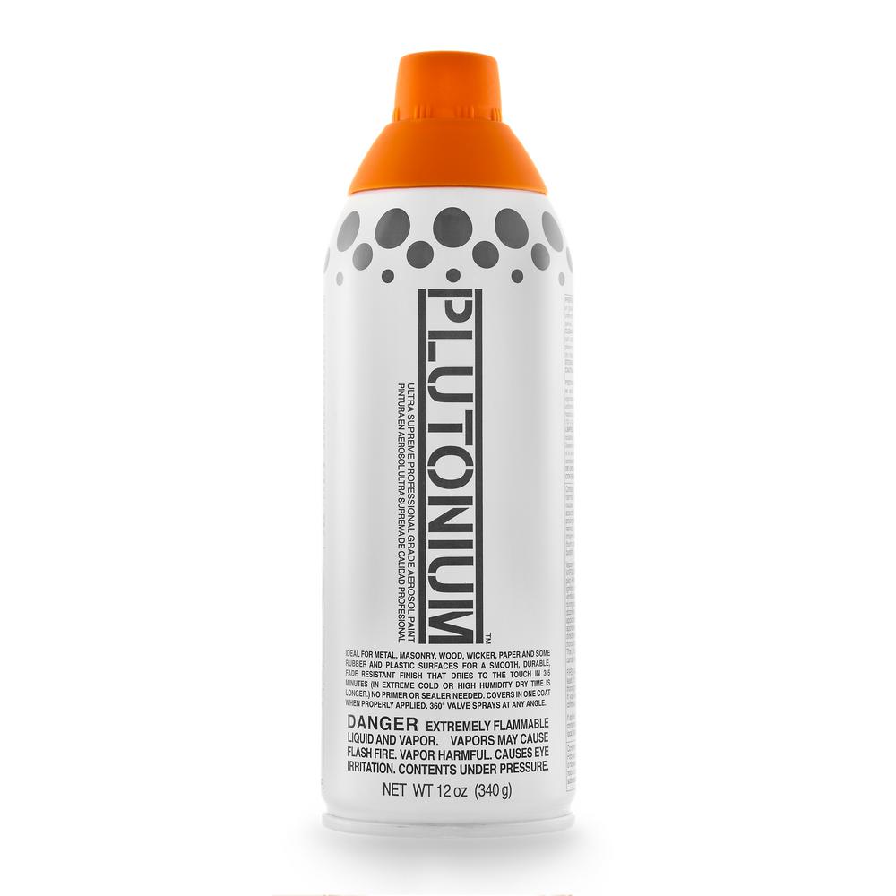 12 Oz Pumpkin Spray Paint
