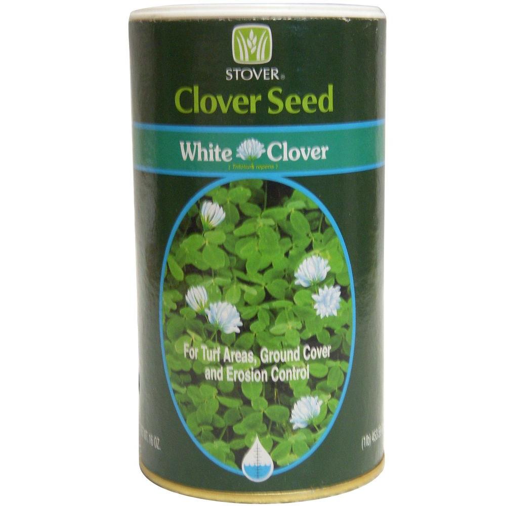 Stover Seed White Clover Seed-73010-6 - The Home Depot