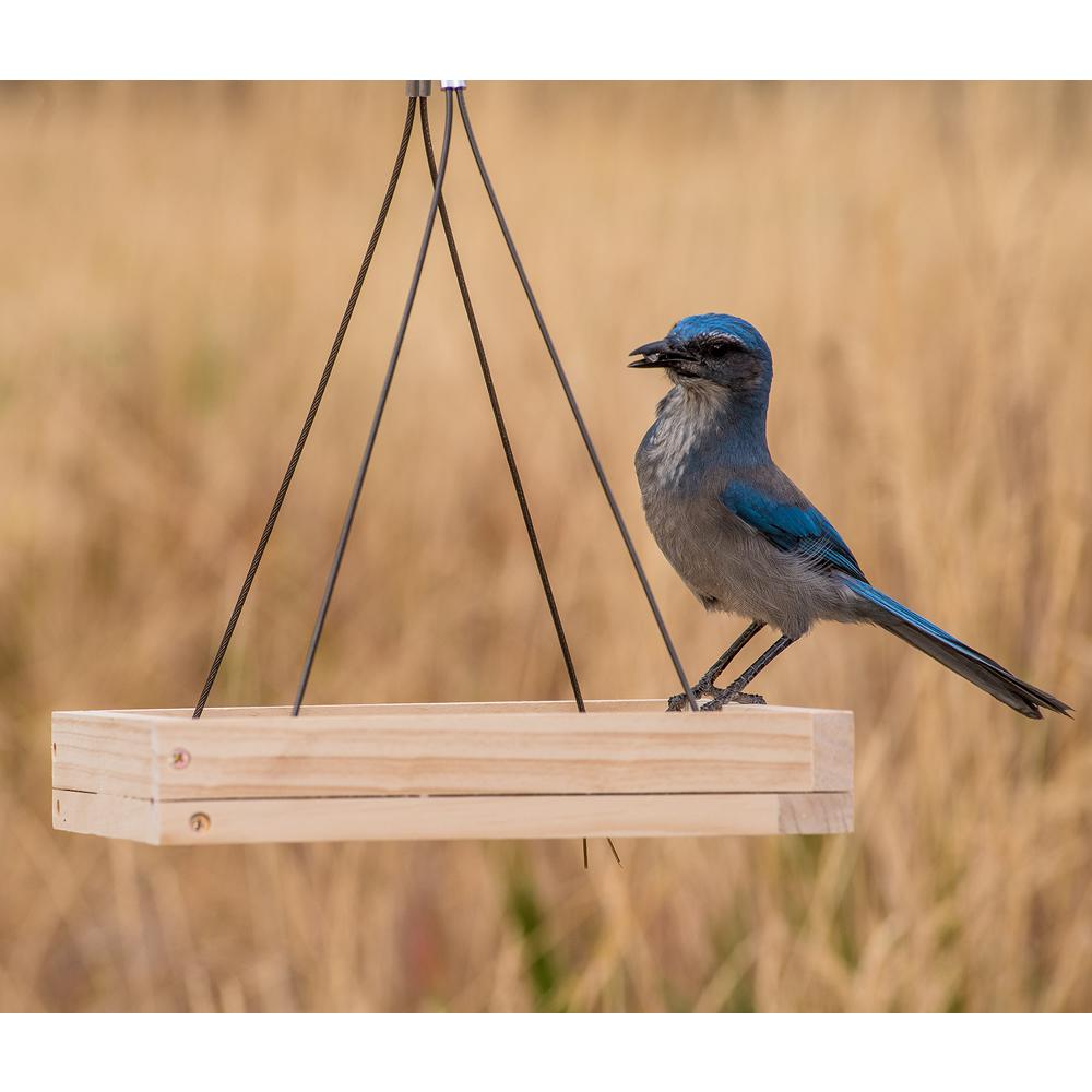 Hanging Tray Wood Bird Feeder 1 6 Lb Capacity 50178 The Home