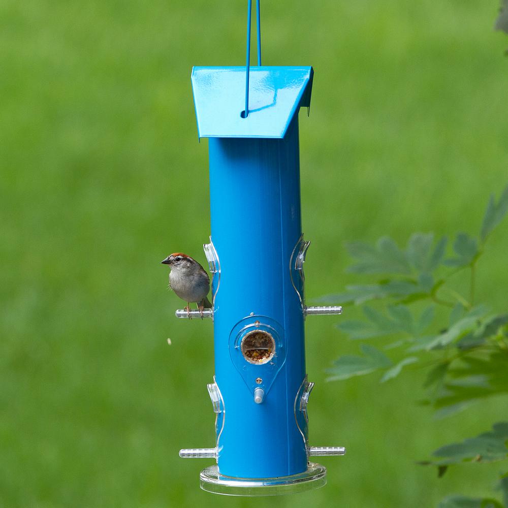 Perky Pet Blue Metal Tube Hanging Bird Feeder 1 Lb Capacity 391