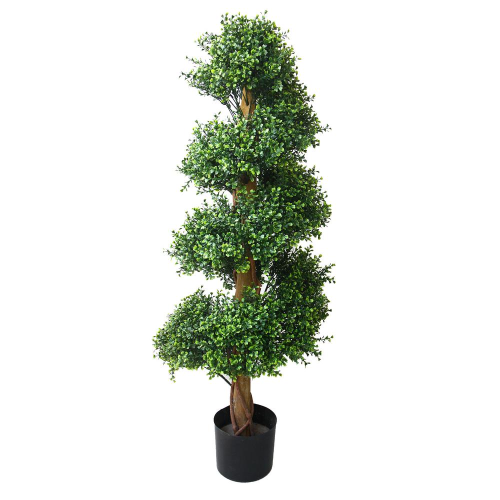 Romano 4 Ft Boxwood Spiral Tree 50 10010 R The Home Depot