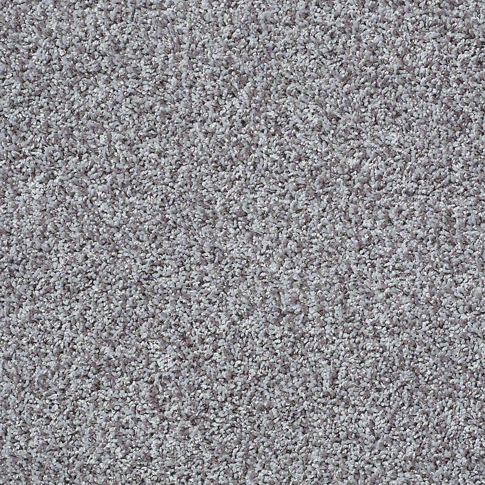 TrafficMASTER Carpet Sample - Dreamcatcher - Color Dolphin Texture 8 in ...