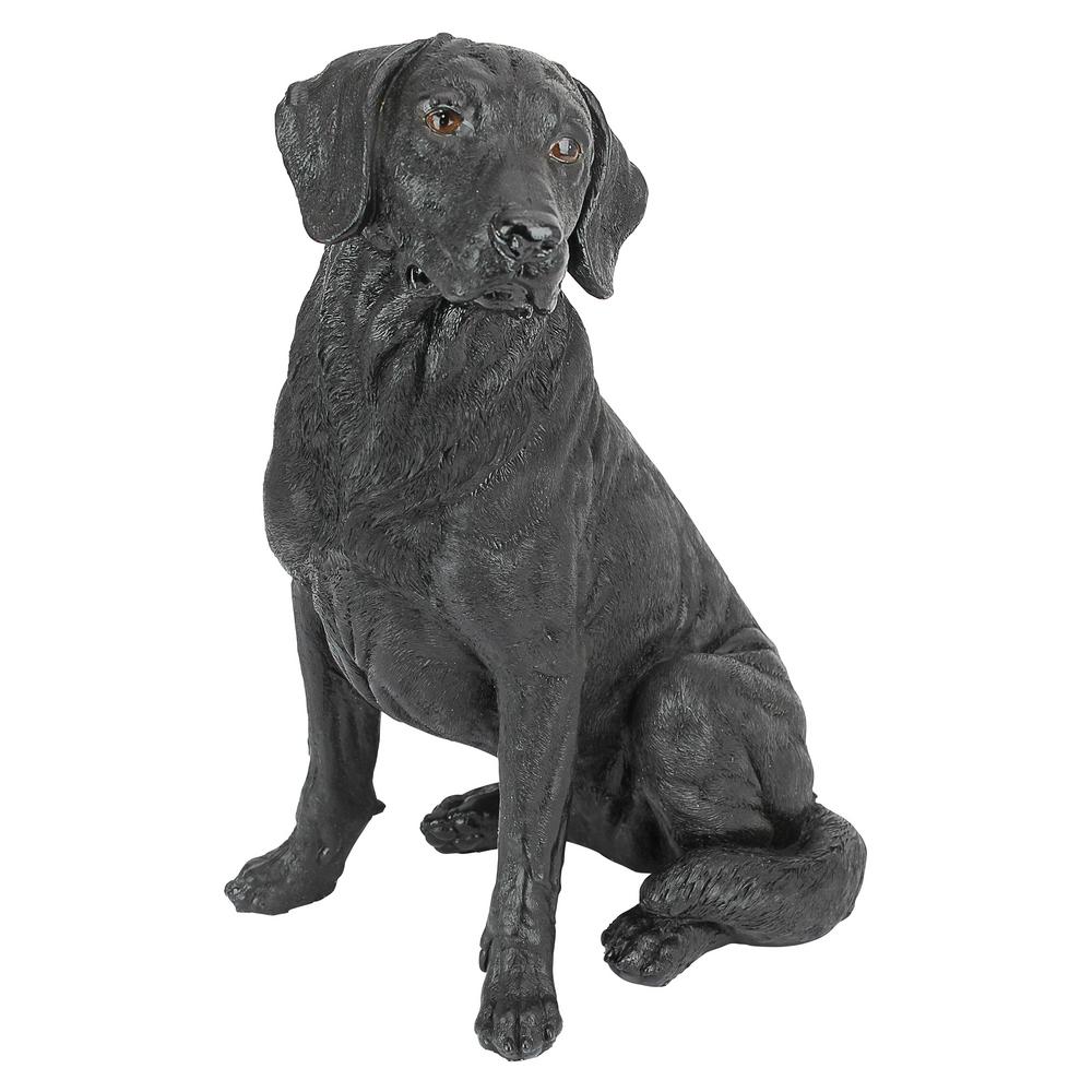 labrador retriever black and white