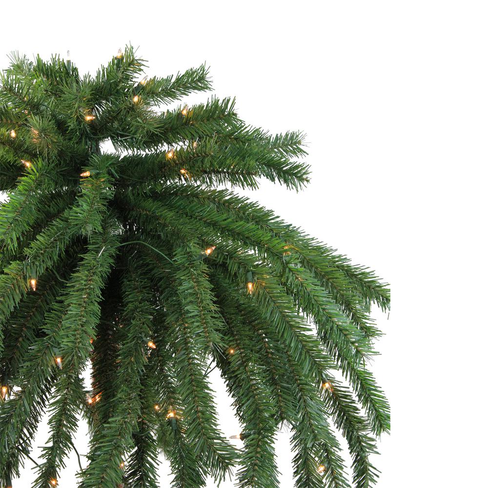 Northlight 4 Ft Pre Lit Clear Lights Artificial Tropical Outdoor